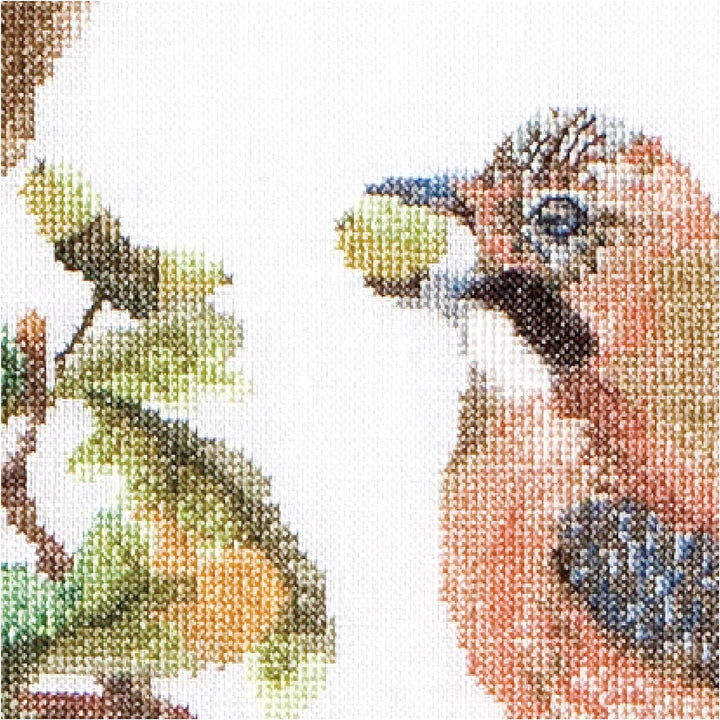 Thea Gouverneur - Kreuzstich-Set - Jay - Leinen - 36 Count - Für Erwachsene - 2022 50x56cm Jay, 50x5