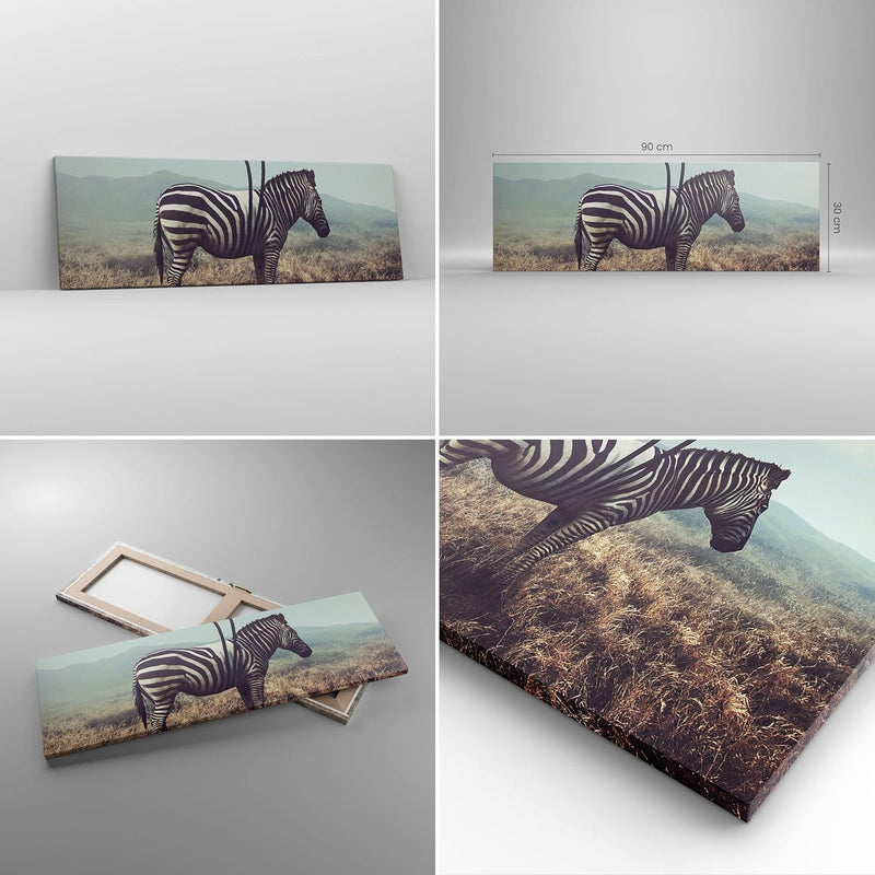 Panorama Bilder auf Leinwand Zebra Tier Wiese Leinwandbild mit Rahmen 90x30cm Wandbilder Dekoration