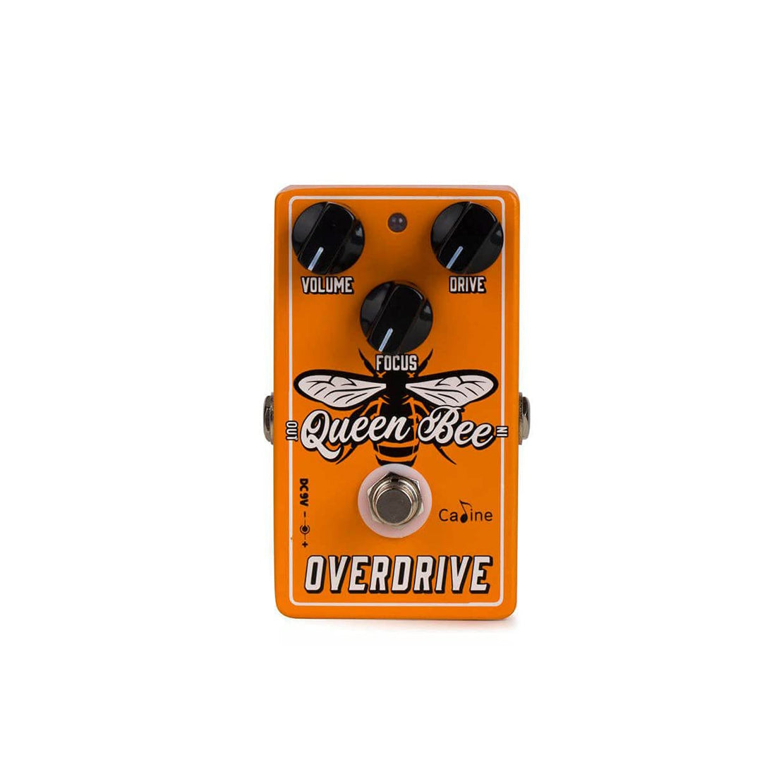 Caline CP-503 Queen Bee Overdrive - Overdrive Pedale