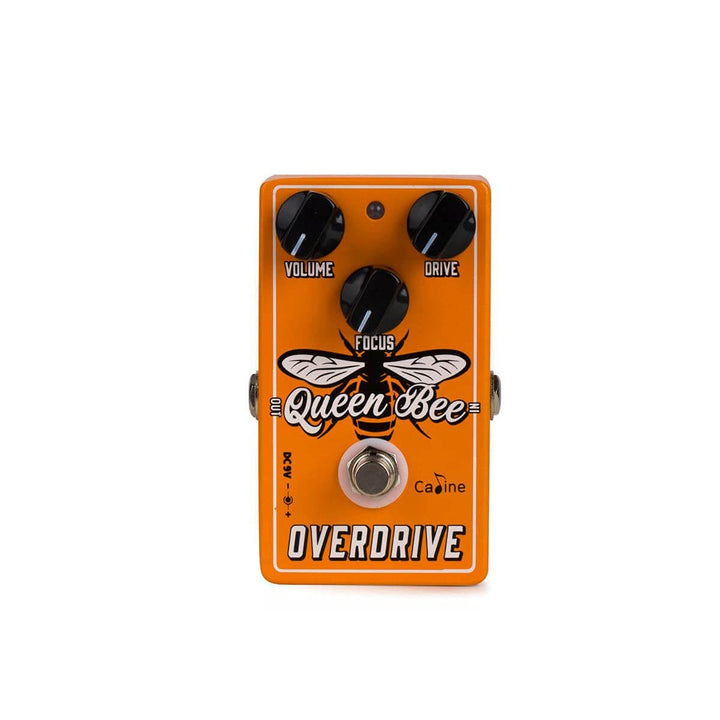 Caline CP-503 Queen Bee Overdrive - Overdrive Pedale