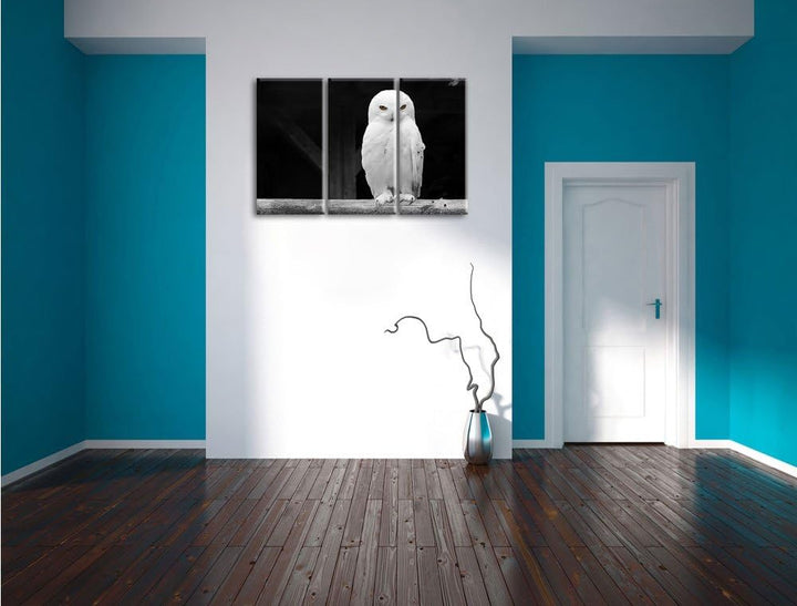 Pixxprint Weisse Schneeeule als Leinwandbild | Grösse: 3 Teilig (120x80) | Wandbild| Kunstdruck | fe