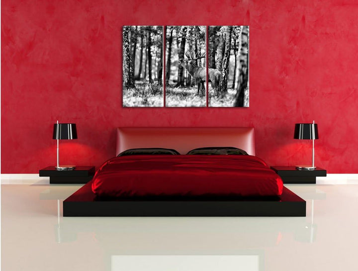 Pixxprint Hirsch im Wald als Leinwandbild | Grösse: 3 Teilig (120x80) | Wandbild| Kunstdruck | ferti