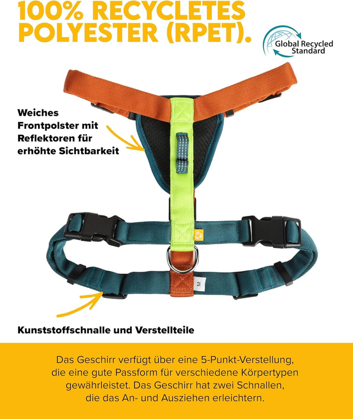 Woolly Wolf Color Block Hundegeschirr für kleine Hunde & Welpen XXS – Geschirr mit 5-Punkt-Anpassuns