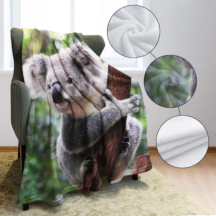 Zomer Kuscheldecke,Koala,125x150cm,Grau,Flauschige Decke Mikrofaser Fleecedecke Weiche &amp; Warme Sofad