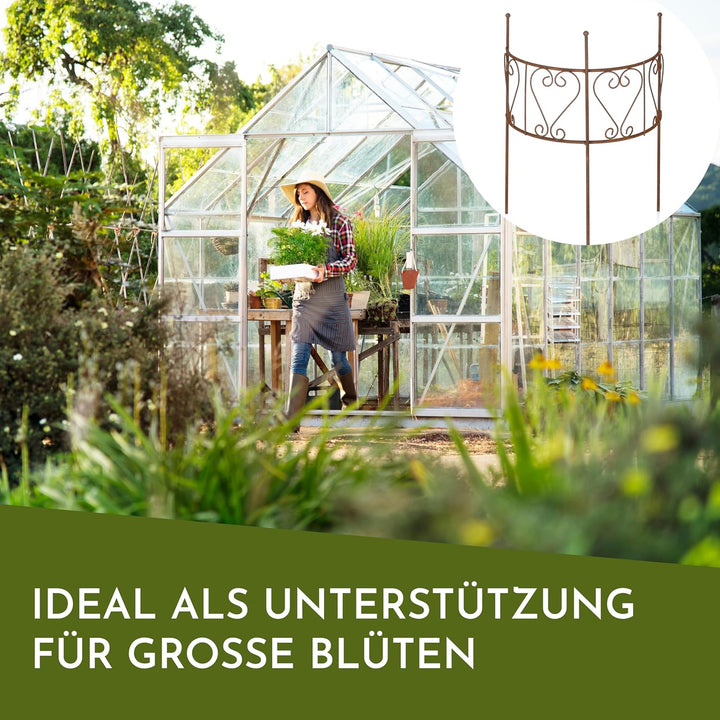 Nordstern® Staudenhalter Pflanzenstütze Rost 2er Pack - Gross 45 x 50 cm Rostbraun - Gross, Rostbrau