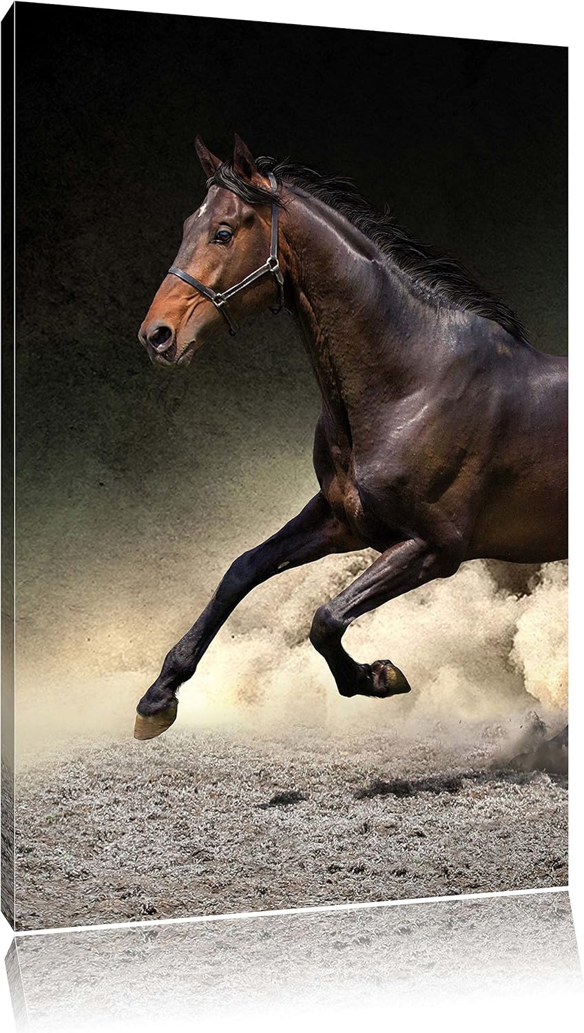 Pixxprint Bild als Leinwandbild | Grösse: 120x80 | Wandbild| Kunstdruck | fertig bespannt