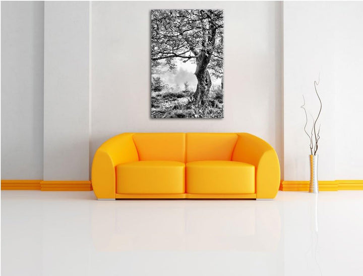 Pixxprint Traumhafte Herbstlandschaft als Leinwandbild/Grösse: 100x70 cm/Wandbild/Kunstdruck/fertig