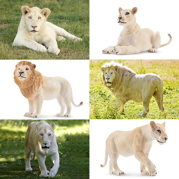 TOYMANY 6 Stück Weisser Löwe Tiere-Figuren mit Löwenbabys,Löwen Spielzeug Plastiktiere Zoo Wald Tier
