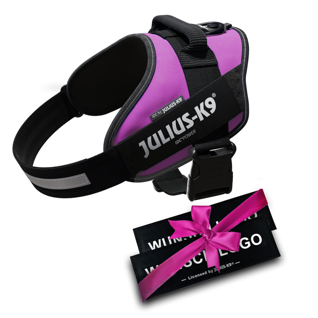 JULIUS K-9 IDC Powergeschirre Dunkelpink mit individuelle Klettaufschriften Bundle optionale Grösse,