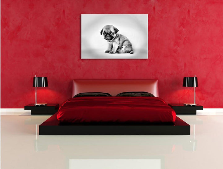 Pixxprint Kleiner Hundewelpe Mops als Leinwandbild/Grösse: 100x70 cm/Wandbild/Kunstdruck/fertig besp