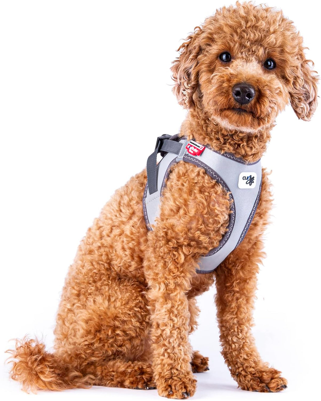 Glow curli Clasp Vest Harness Reflective Gray S, S