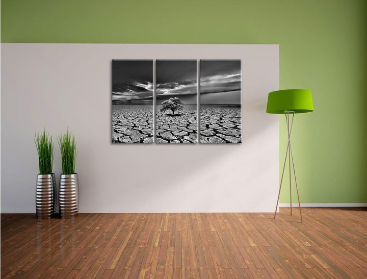 Pixxprint Monocrome, Der letzte Baum im ausgetrockneten Boden 3-Teiler Leinwandbild 120x80 Bild auf