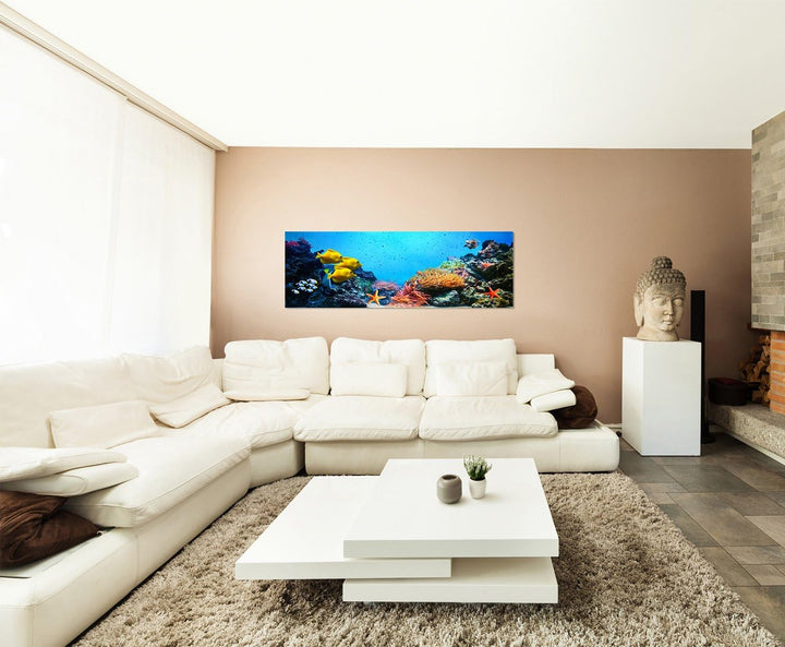Paul Sinus Art Panoramabild auf Leinwand und Keilrahmen 150x50cm Korallenriff Unterwasser Fische See