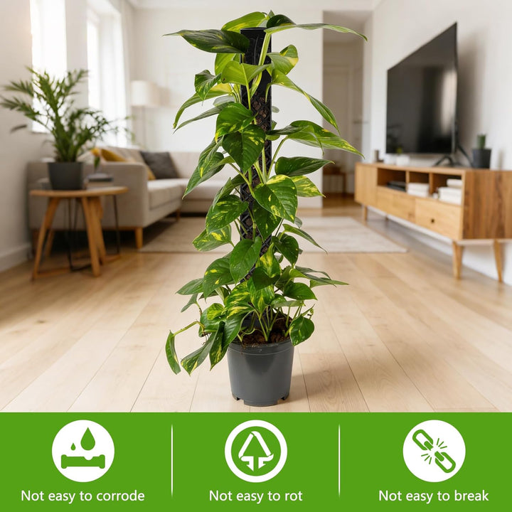 Moss Rod Plant Stake,Moss Rod for Monstera Trellis Indoor Plants Trellis Monstera Plant Stake Trelli