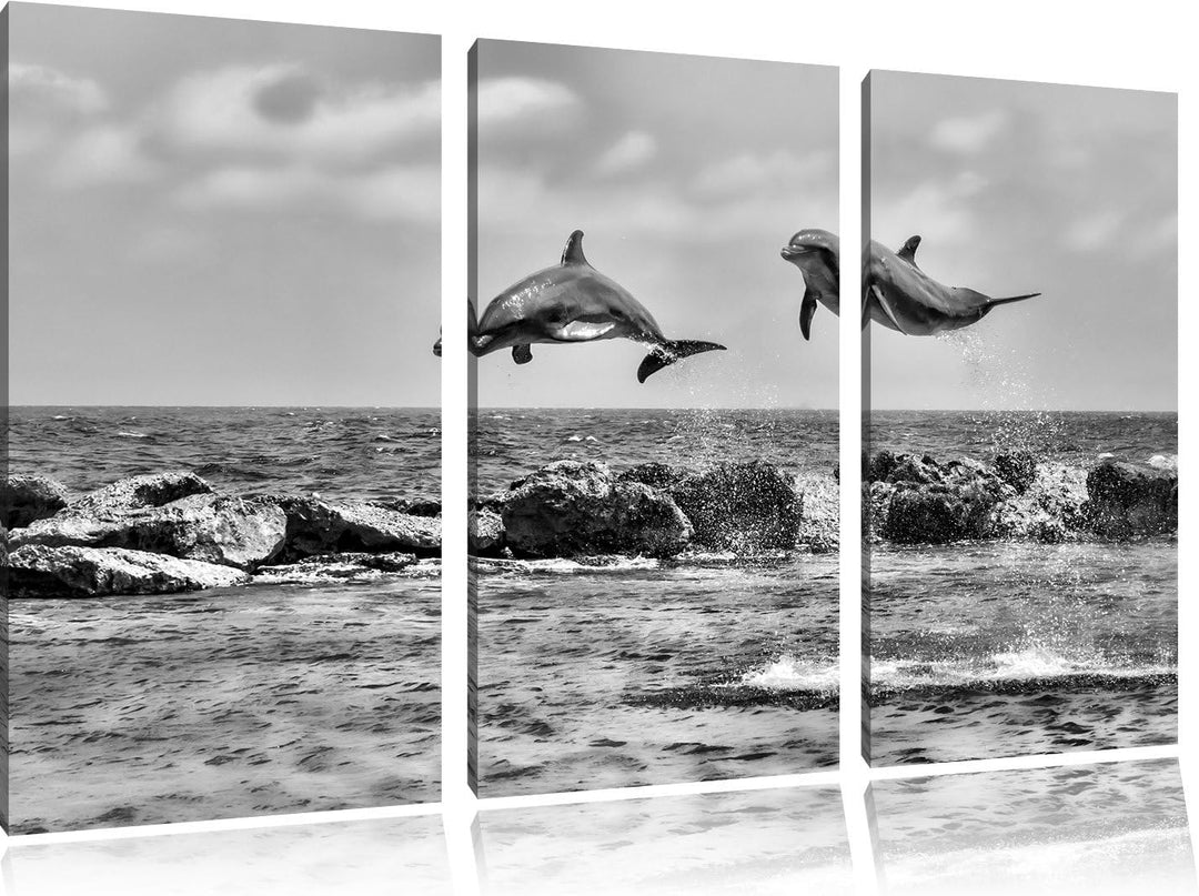 Pixxprint springende Delphine als Leinwandbild | Grösse: 3 Teilig (120x80) | Wandbild| Kunstdruck |