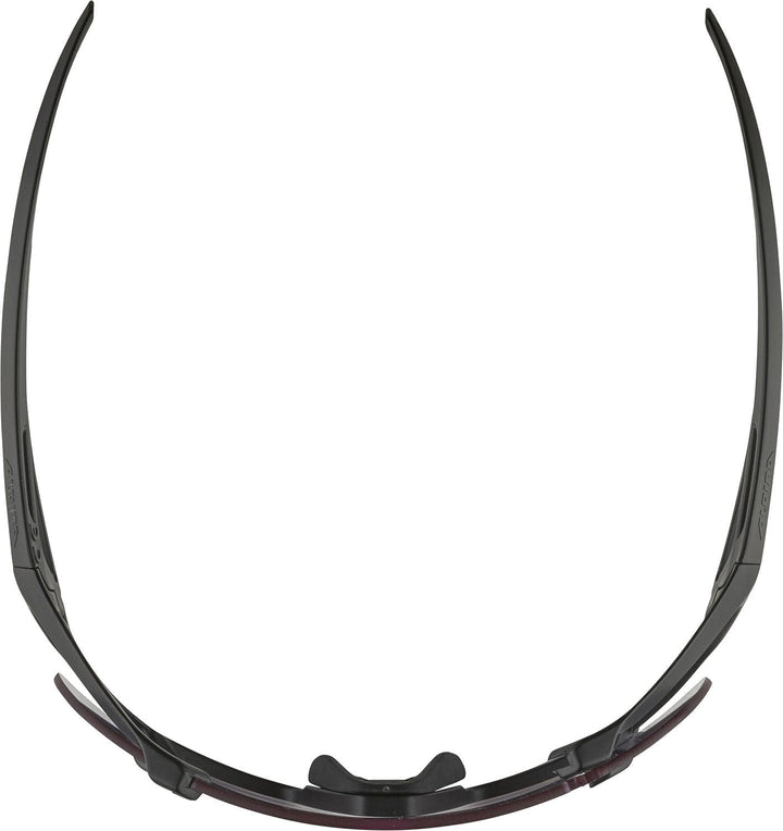 ALPINA HAWKEYE S Q-LITE V - Selbsttönende, Black Matt