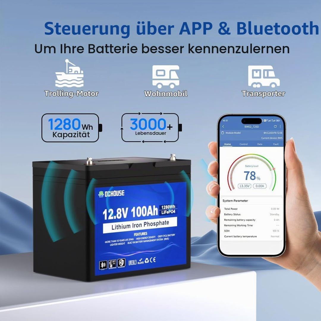DCHOUSE 12V 100Ah LiFePO4 Bluetooth Lithium Batterie mit SOC-Leuchte und BMS-Anzeige, Niedertemperat