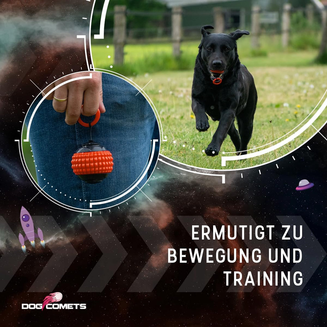 Blazar Jet - Ø 5 cm - Hundespielzeug - Hundeball - Kunststoff - Apportierspielzeug - Interaktives Hu