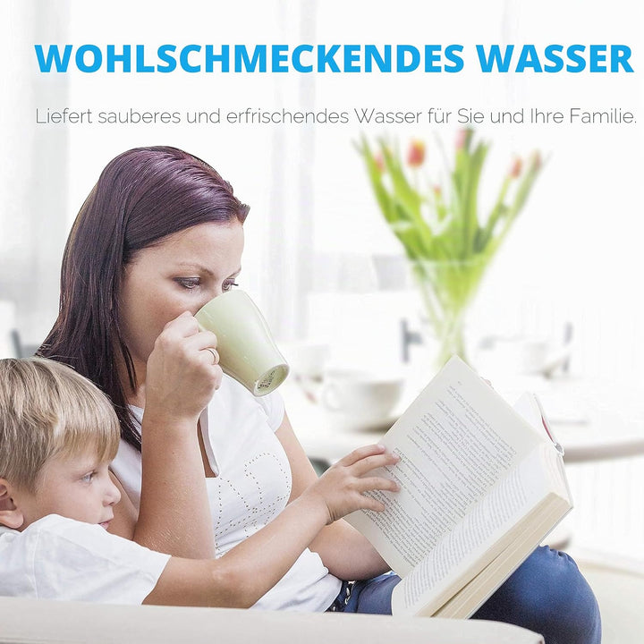 Waterdrop Wasserfilter, Ersatz für Brita® Intenza+ Philips® Saeco® CA6706/48 CA6702/00 Gaggia® Mavea