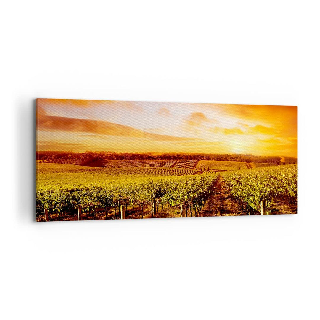 Wandbilder Dekoration Wohnzimmer Weinberg Aussicht Landschaft Panorama Bilder auf Leinwand 120x50cm