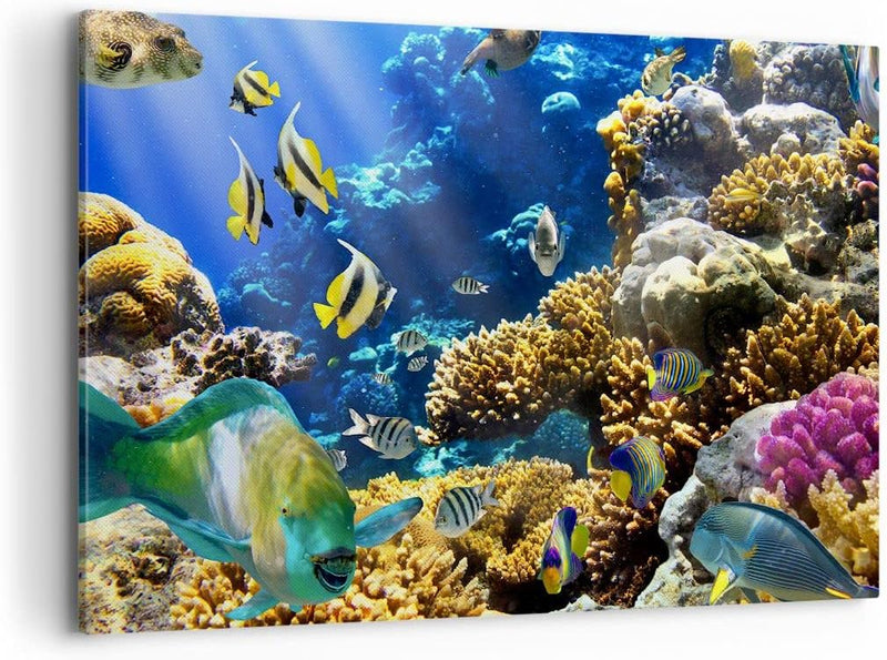 Bilder auf Leinwand 100x70cm Leinwandbild Korallenriff Ozean Krabbe Fisch Gross Wanddeko Bild Schlaf