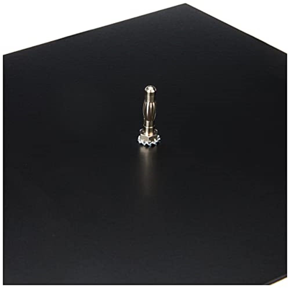 3B Scientific Physik Lehrmittel - Chladni-Platte, quadratisch, Zubehör Vibrationsgenerator (3B Scien