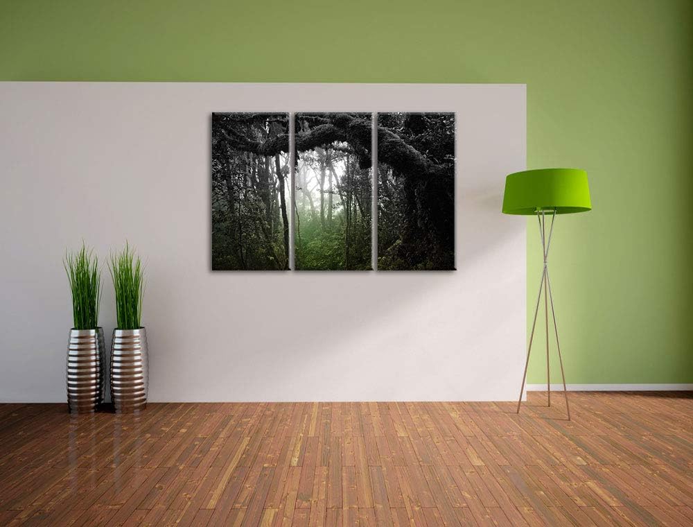 Regenwald in seiner ganzen Pracht schwarz/weiss 3-Teiler Leinwandbild 120x80 Bild auf Leinwand, XXL