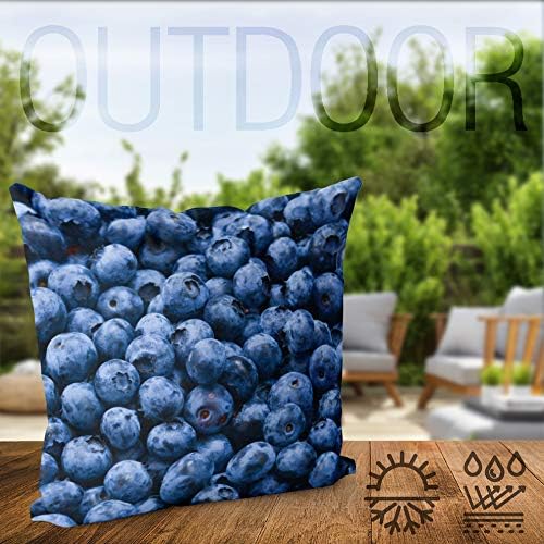 VOID Blaubeeren Kissenbezug Kissenhülle Sofakissen Kissen Deko Outdoor-Kissen Dekokissen, Kissen Grö