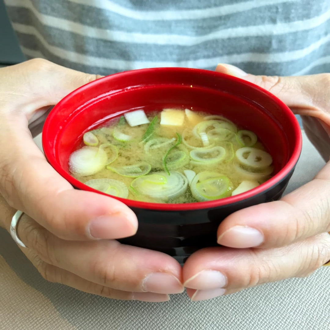 DOITOOL Japanische Miso Suppenschalen Set - 3 StüCk Schalen Mit Deckel FüR Miso Suppe Reis Salat Und