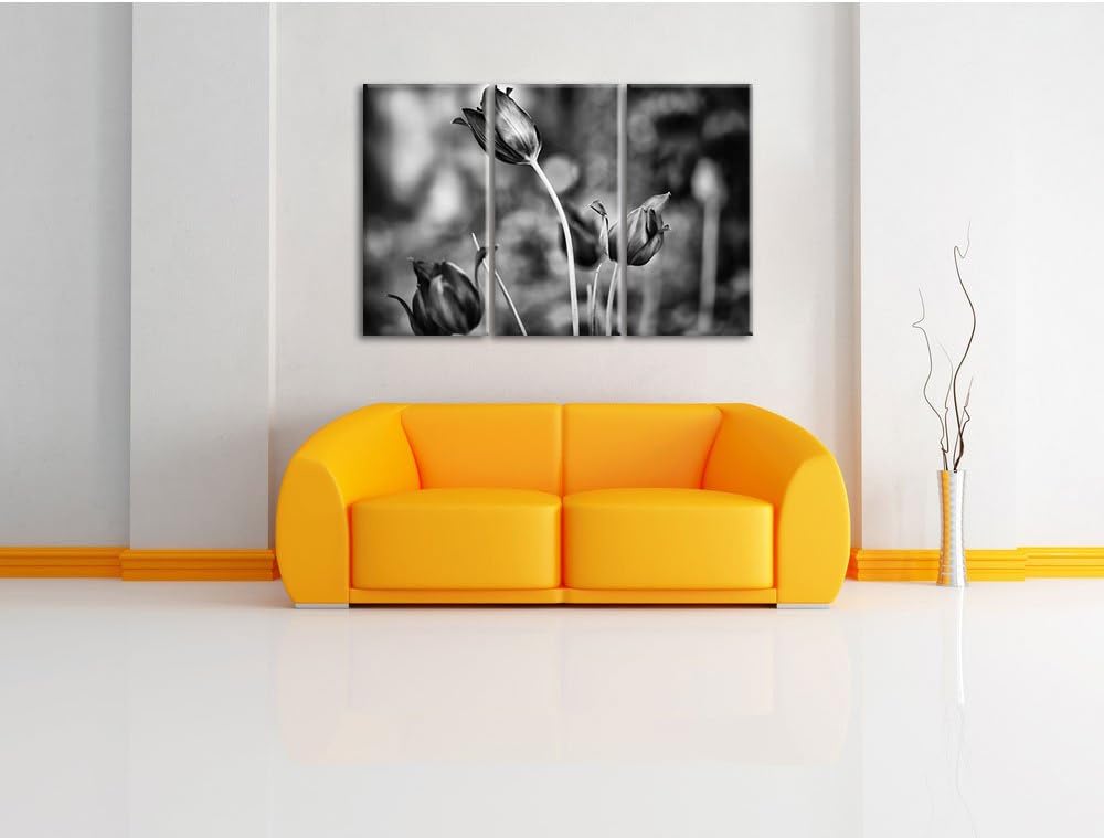 Pixxprint Tulpen im Abendlicht als Leinwandbild/Grösse: 3 Teilig (120x80) cm/Wandbild/Kunstdruck/fer