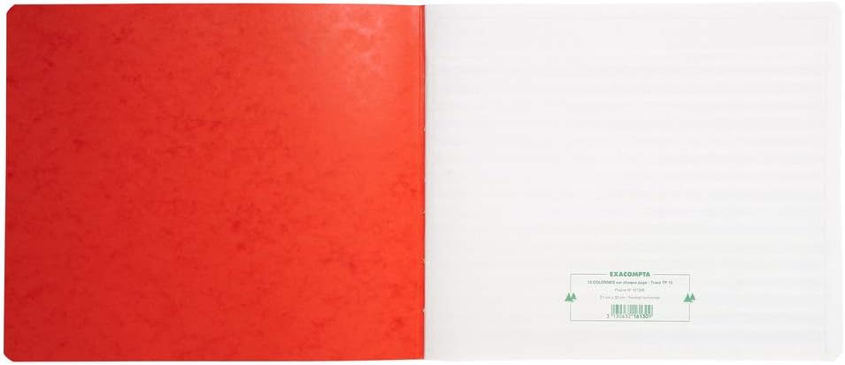 Exacompta Office Book Red mit Kopfzeile 11 Spalten auf jeder Seite