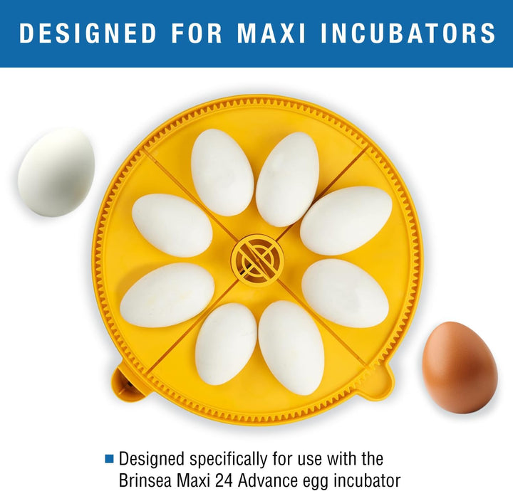 Maxi Advance Inkubator Extra Large Egg Quadrants Insert (8 Gänseeier)