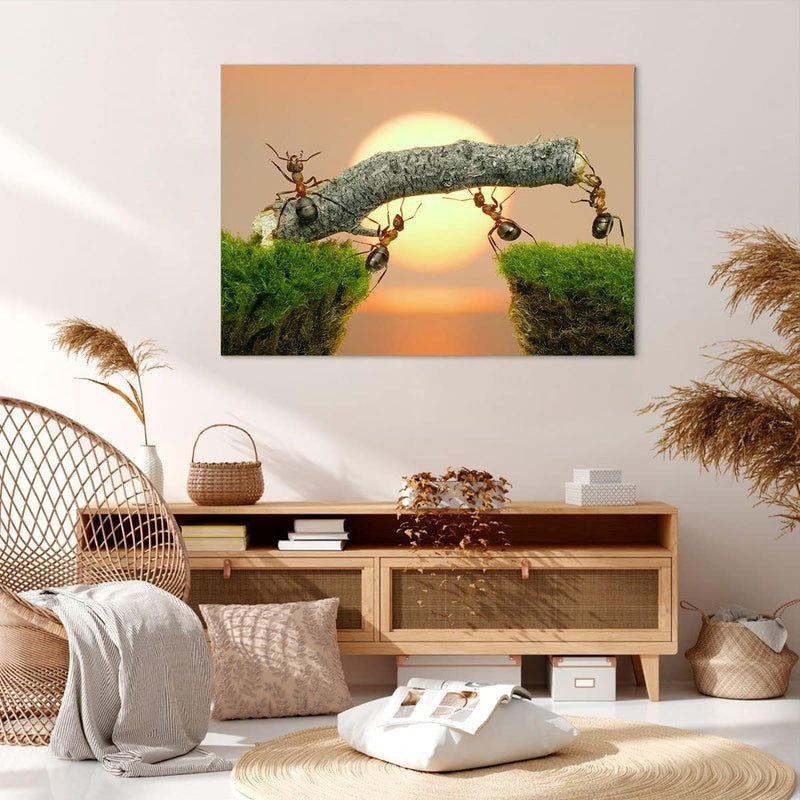 Bilder auf Leinwand 100x70cm Leinwandbild Tiere Ameisen Brücke Natur Gross Wanddeko Bild Schlafzimme