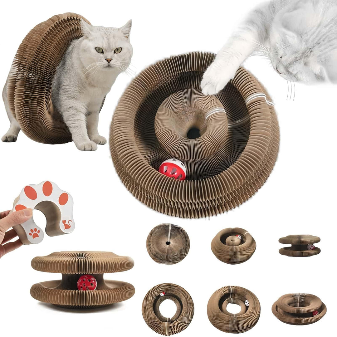 Kratzkokon für Katzen, 2-in-1 Katzenspielzeug Selbstbeschäftigung und Kitten Spielzeug mit Glocke, M