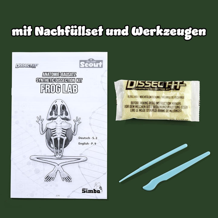 Simba Scout Dissect-It Frosch, zum Sezieren, 16cm, Skelett und Organe zum Zusammenbauen, Nachfüllset