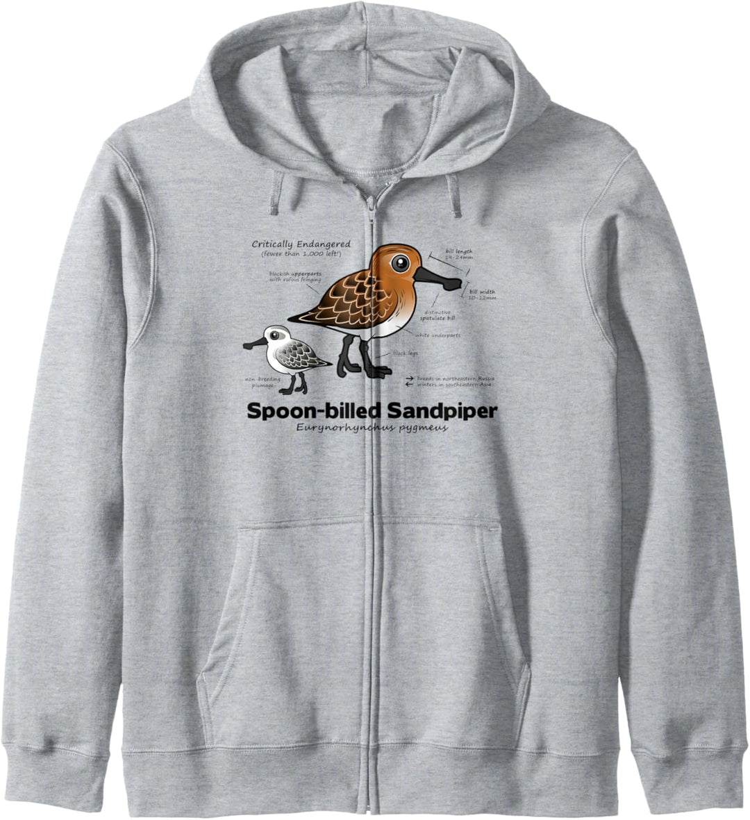 Spoon-billed Sandpiper Statistics Cartoon Löffelstrandläufer Kapuzenjacke