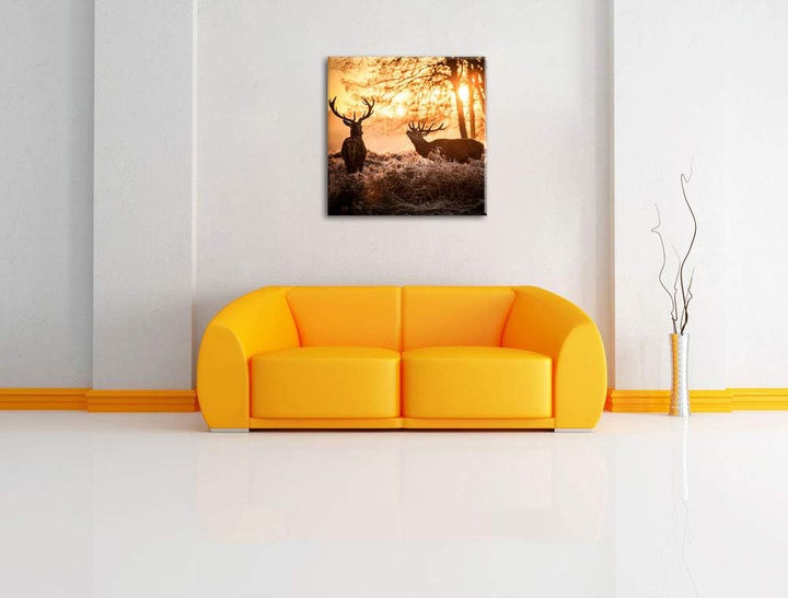 Hirsch Rivalen kämpfen, Format: 70x70 auf Leinwand, XXL riesige Bilder fertig gerahmt mit Keilrahmen