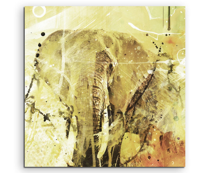 Elefant_60x60cm Splash Art Paul Sinus Aquarell, Gemälde, Kunstbild auf Leinwand
