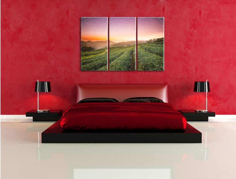 Pixxprint Sonnenaufgang Teeplantage Thailand / 3-Teilig/Gesamtmass 120cm Leinwandbild bespannt auf H