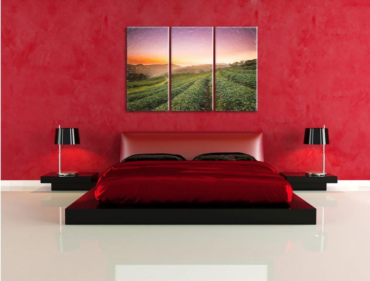 Pixxprint Sonnenaufgang Teeplantage Thailand / 3-Teilig/Gesamtmass 120cm Leinwandbild bespannt auf H