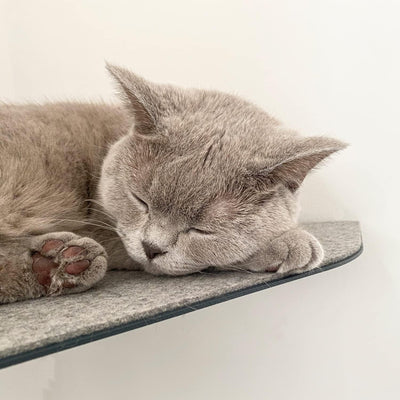 LucyBalu® CORNER Katzenliege & Kletterstufe mit Filzauflage für Wandecken | Wandliege für Katzen | K
