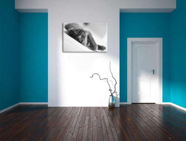 Pixxprint Niedliche Katze Liegt im Bett Bunstift Effekt, Format: 100x70 auf Leinwand, XXL riesige Bi