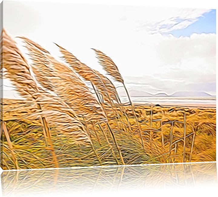 Schönes Schilf in den Dünen Deluxe Format: 100x70 cm auf Leinwand, XXL riesige Bilder fertig gerahmt