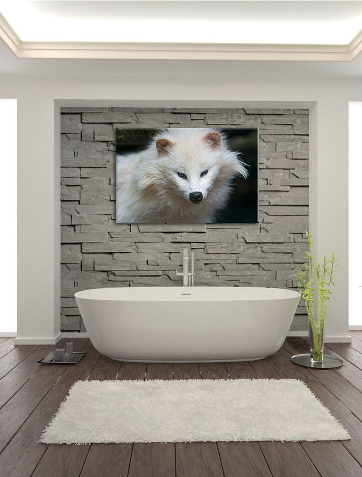Pixxprint Kleiner Polarfuchs auf Leinwand, XXL riesige Bilder fertig gerahmt mit Keilrahmen, Kunstdr
