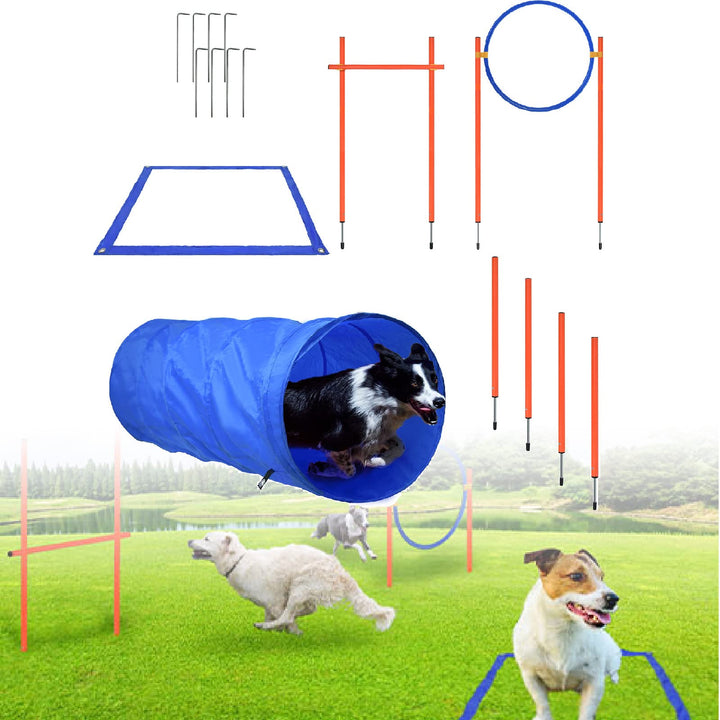 LARS360 Agility-Ausrüstungsset für Hunde Pet Agility Trainingsgeräten Hindernisse mit Hundetunnel Sp