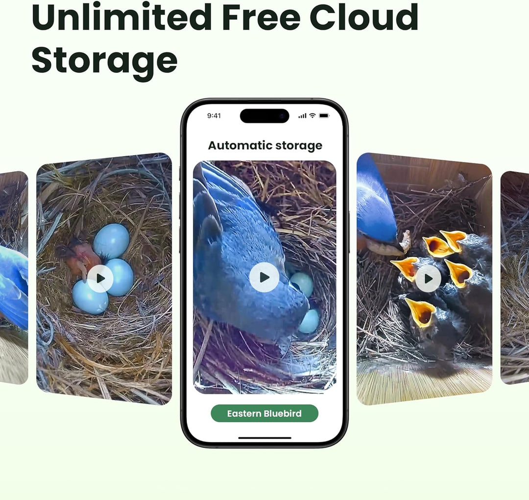 Birdfy Vogelhaus mit Kamera,Nistkasten mit Kamera, 2 Millionen Pixel Outdoor-Vogelhaus-Kamera, Echtz