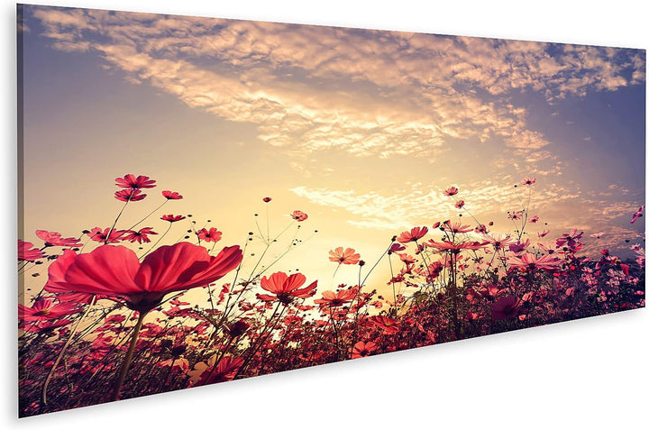 islandburner Bild auf Leinwand Landschaft Natur Schöne Rosa Roten Kosmos Blumenfeld Mit Sonnenschein