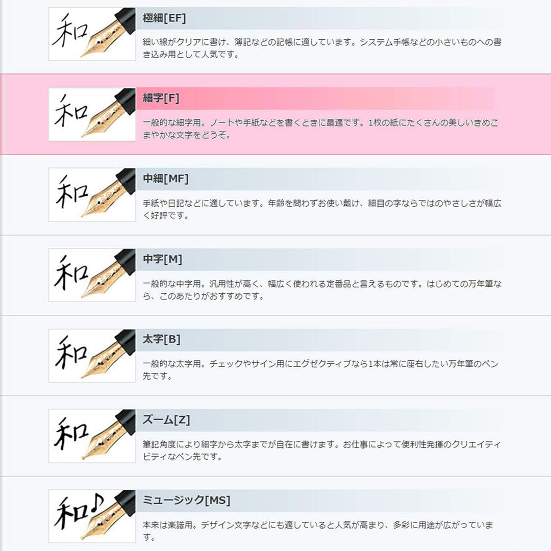 Sailor Fountain Pen Procolor 500 Shikisai - Four seasons Fine Hoshikuzu (Stardust) 11-0500-249 (Japa