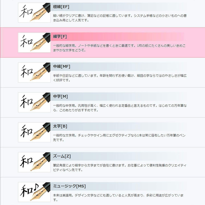 Sailor Fountain Pen Procolor 500 Shikisai - Four seasons Fine Hoshikuzu (Stardust) 11-0500-249 (Japa