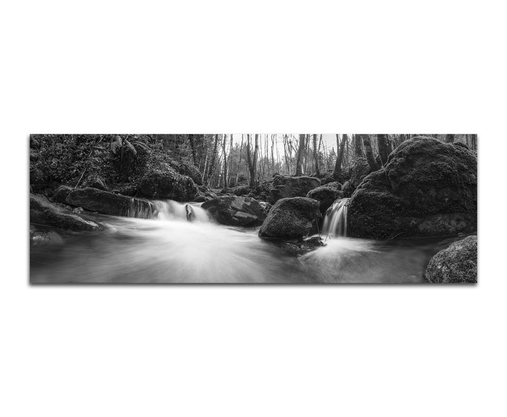 Paul Sinus Art Leinwandfoto als Panorama SCHWARZ/Weiss 150x50cm Wald Steine Moos Waldbach Herbst